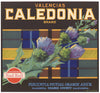 Caledonia Brand Vintage Placentia Orange Crate Label, red ball