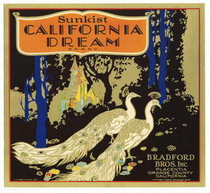 California Dream Brand Vintage Placentia Orange Crate Label
