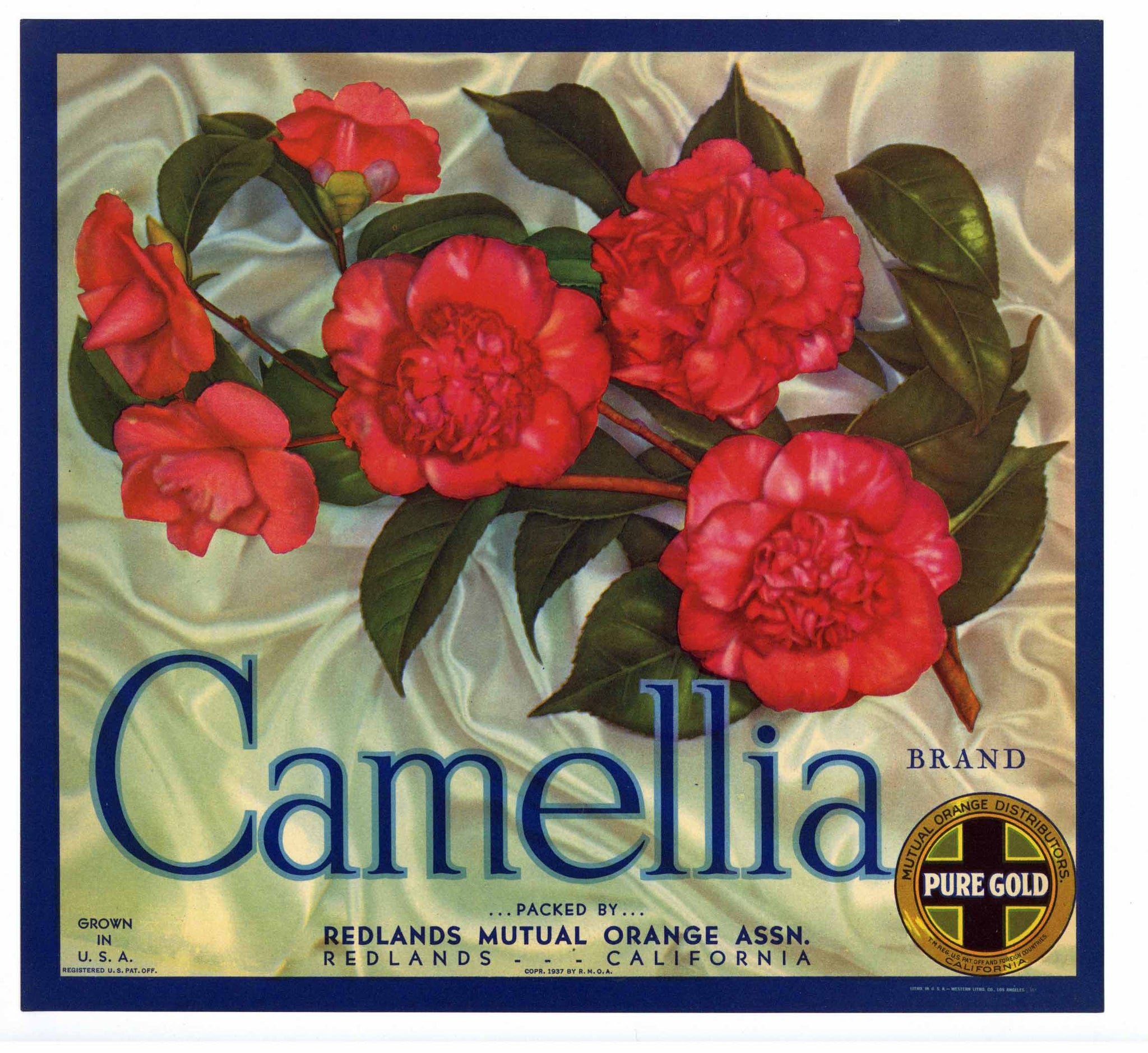 Camellia Brand Vintage Redlands Orange Crate Label