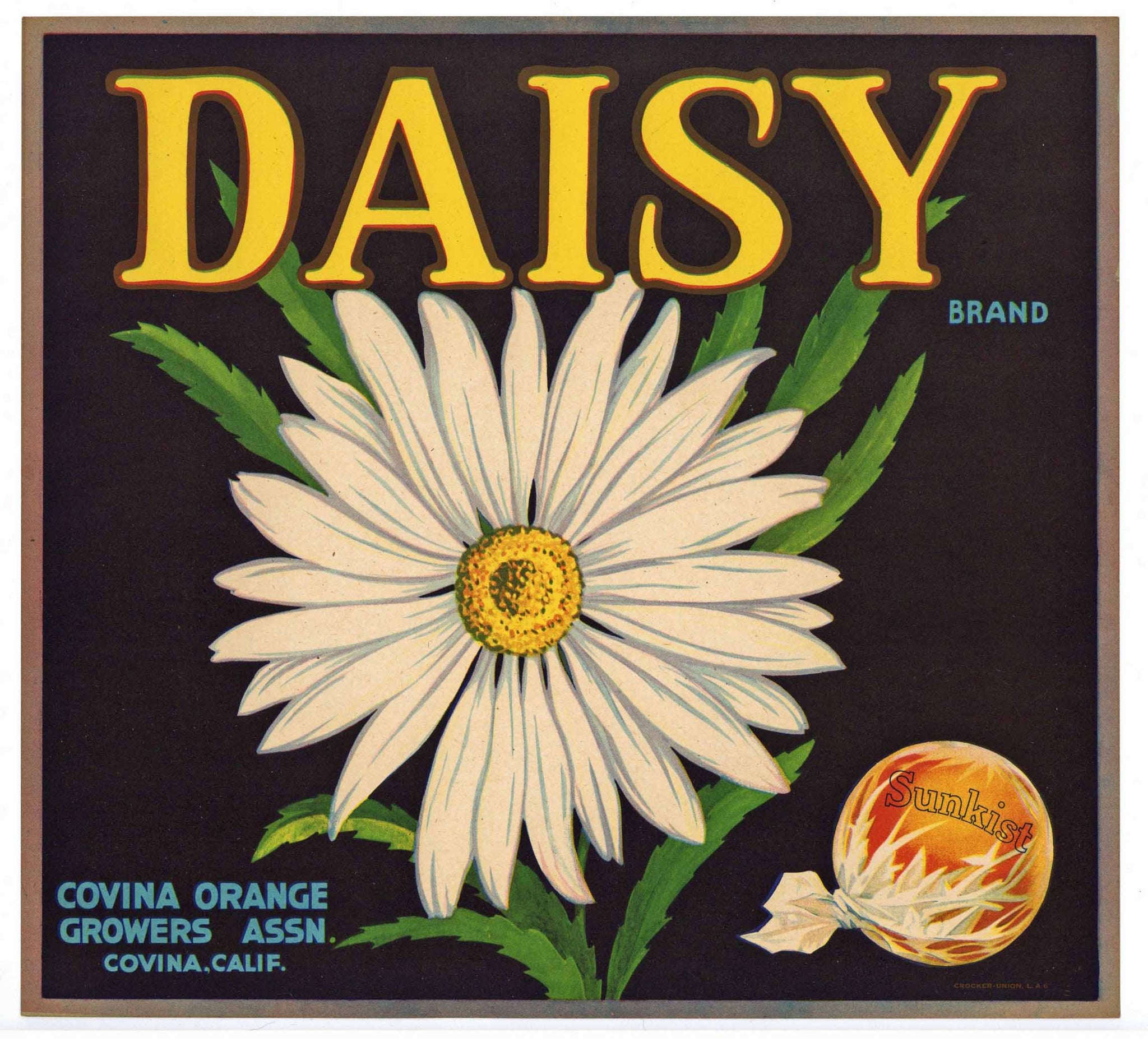 Daisy Brand Vintage Covina Orange Crate Label