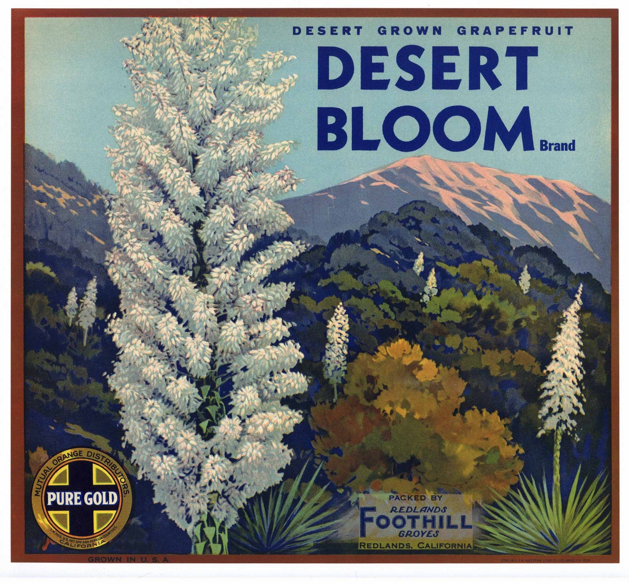 Desert Bloom Brand Vintage Redlands Grapefruit Crate Label
