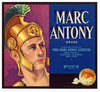 Marc Antony Brand Vintage Placentia Orange Crate Label