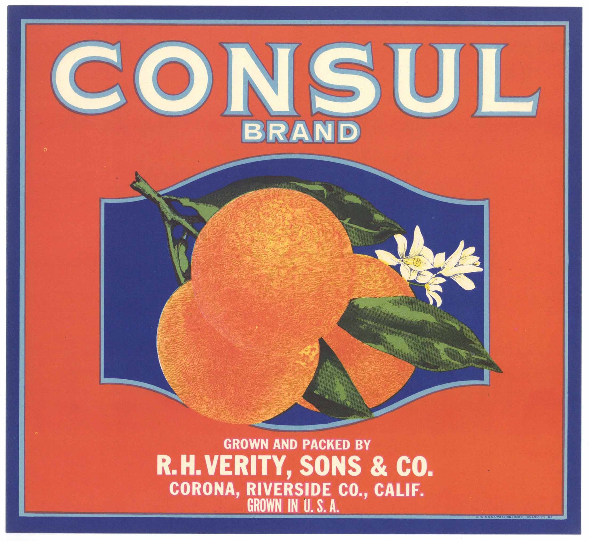 Consul Brand Vintage Corona Orange Crate Label