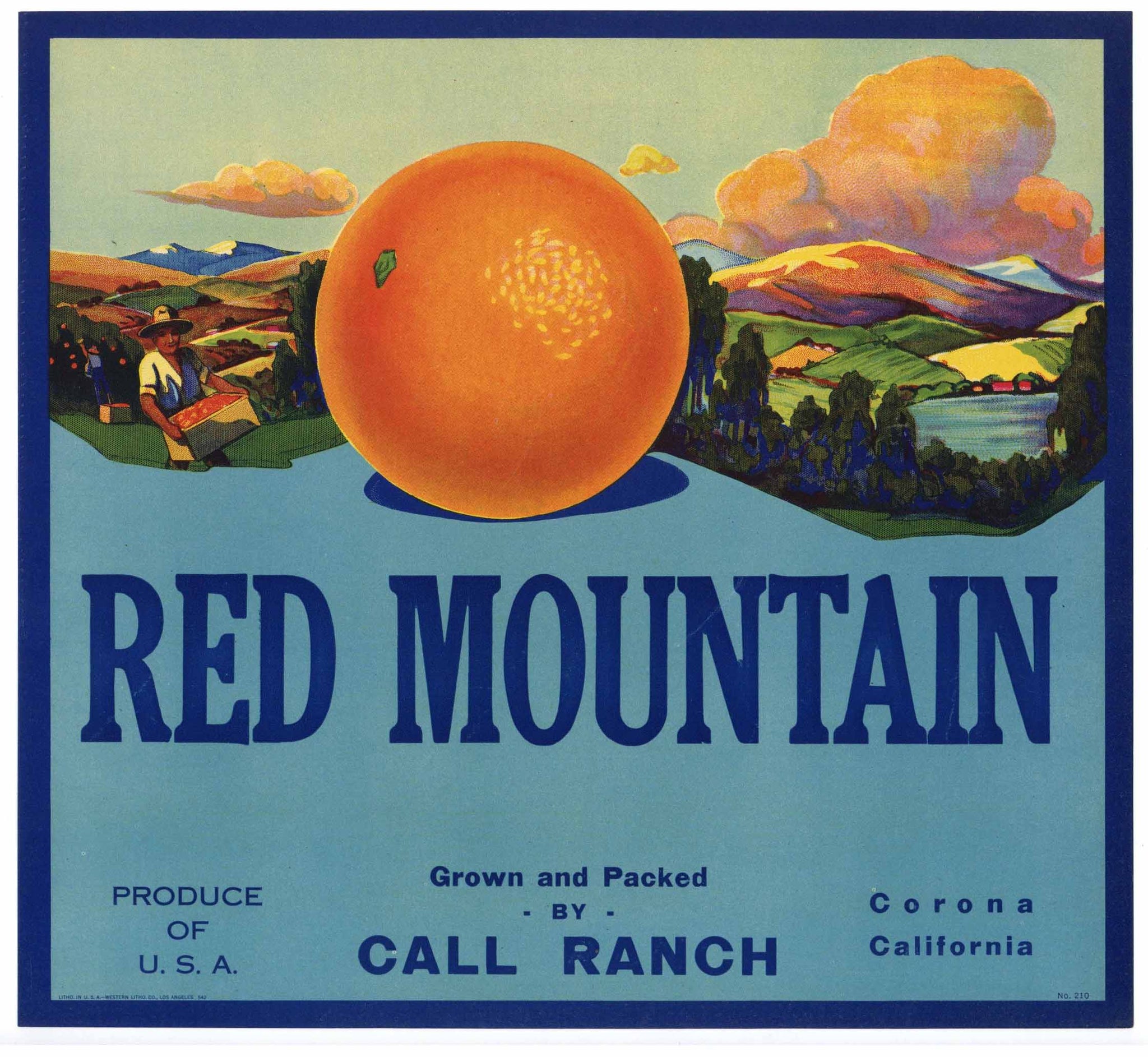 Red Mountain Brand Vintage Corona Orange Crate Label