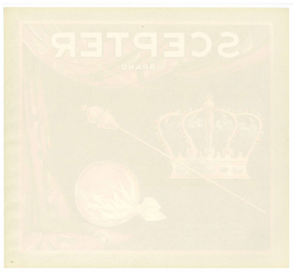 Scepter Label Scepter Brand Vintage Sunkist Orange Crate Label – thelabelman