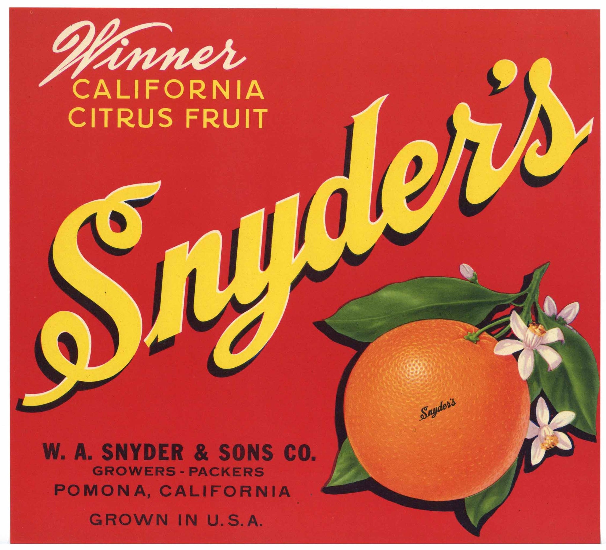 Snyder's Brand Vintage Pomona Orange Crate Label, red