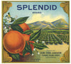 Splendid Brand Vintage Tulare County Orange Crate Label