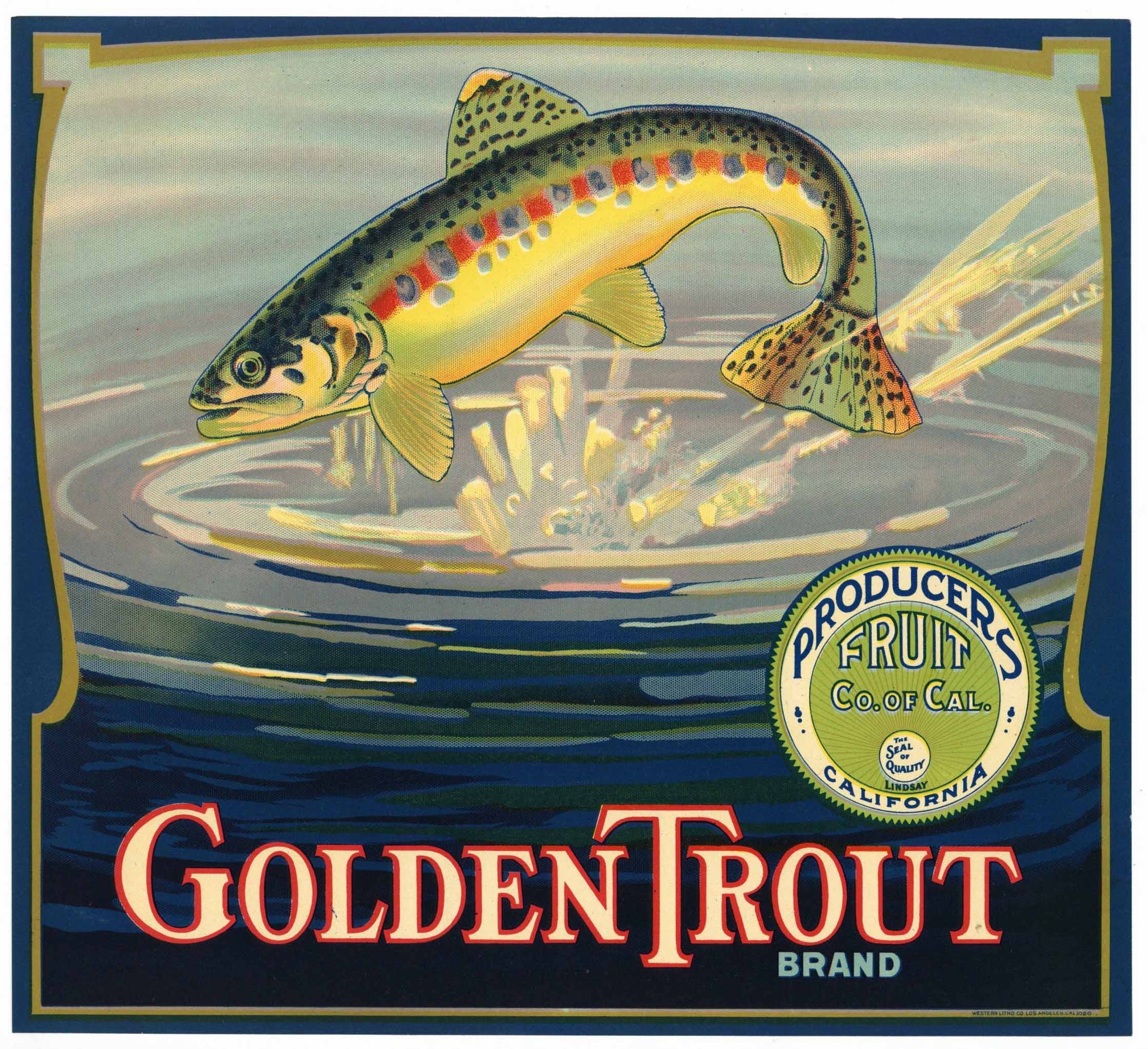 Golden Trout Brand Vintage Tulare County Orange Crate Label, Producers Fruit