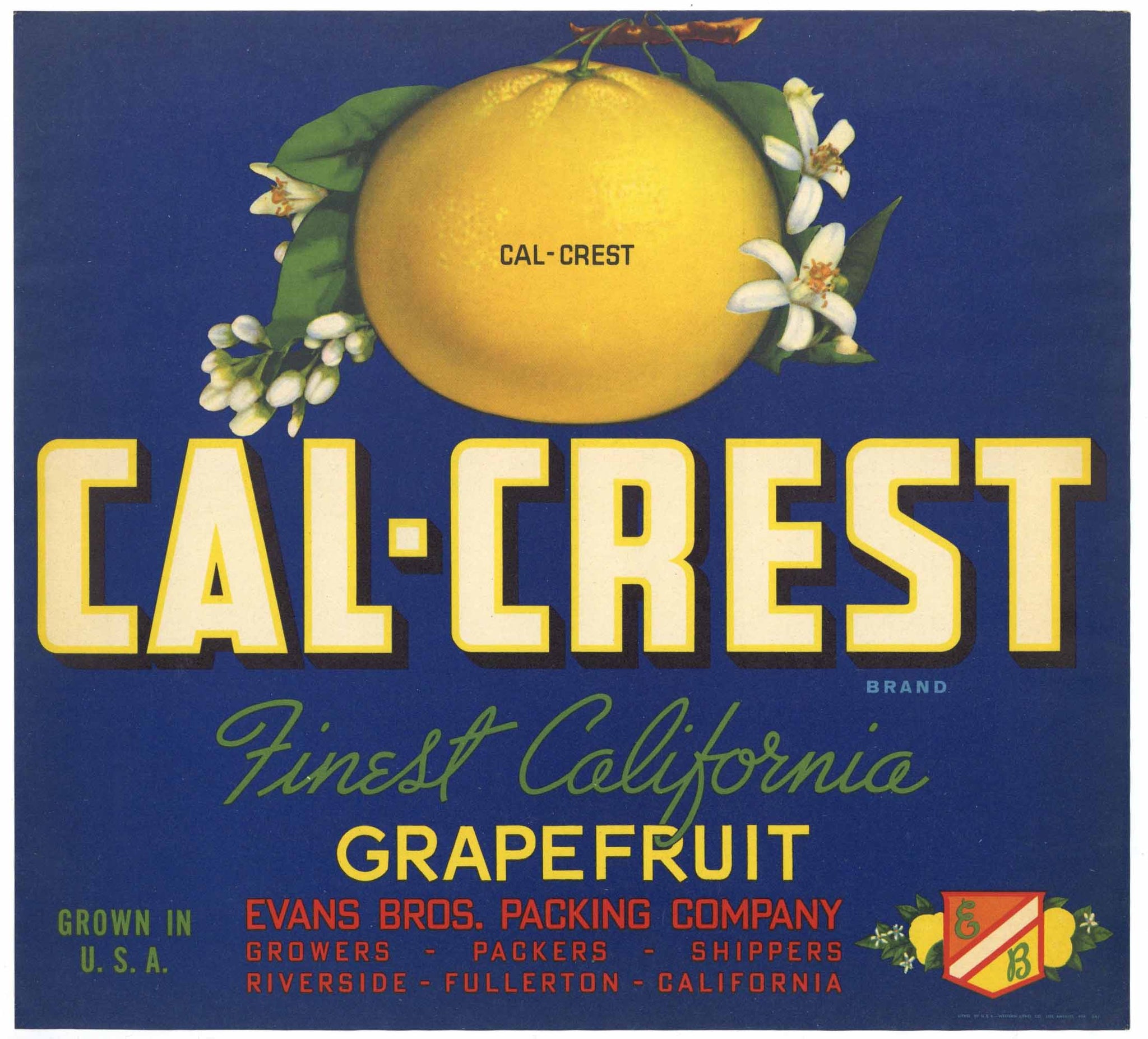 Cal-Crest Brand Vintage Grapefruit Crate Label