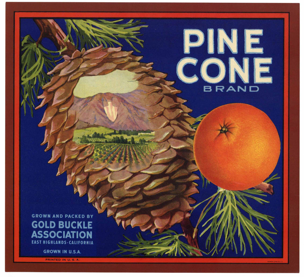 Pine Cone Brand Vintage East Highlands Orange Crate Label