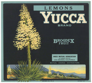 Yucca Brand Vintage La Habra Lemon Crate Label