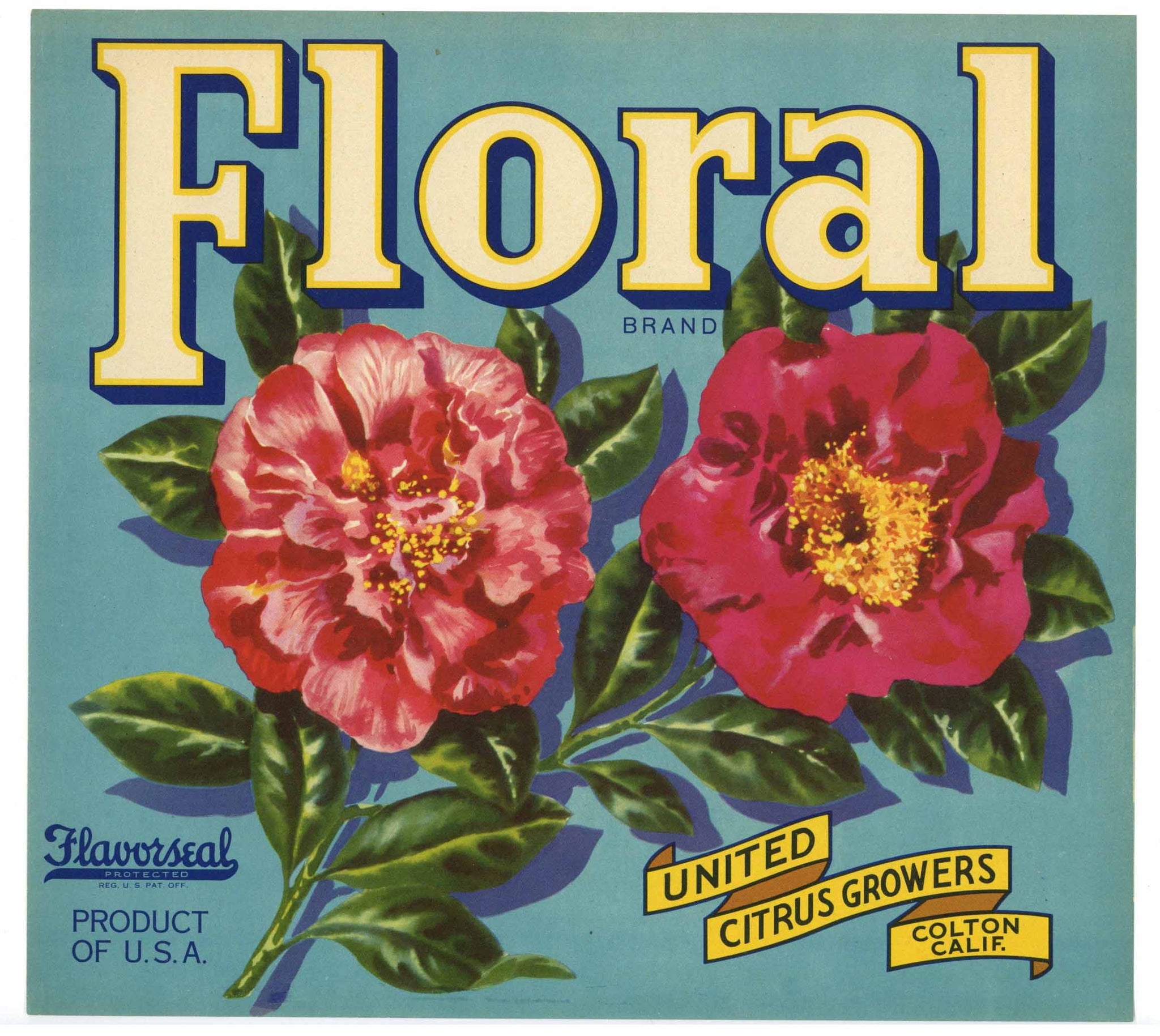 Floral Brand Vintage Colton Orange Crate Label