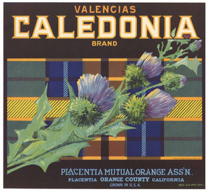 Caledonia Brand Vintage Placentia Orange Crate Label