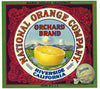 Orchard Brand Vintage Riverside Grapefruit Crate Label