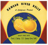 Kaweah River Belle Brand Vintage Grapefruit Crate Label