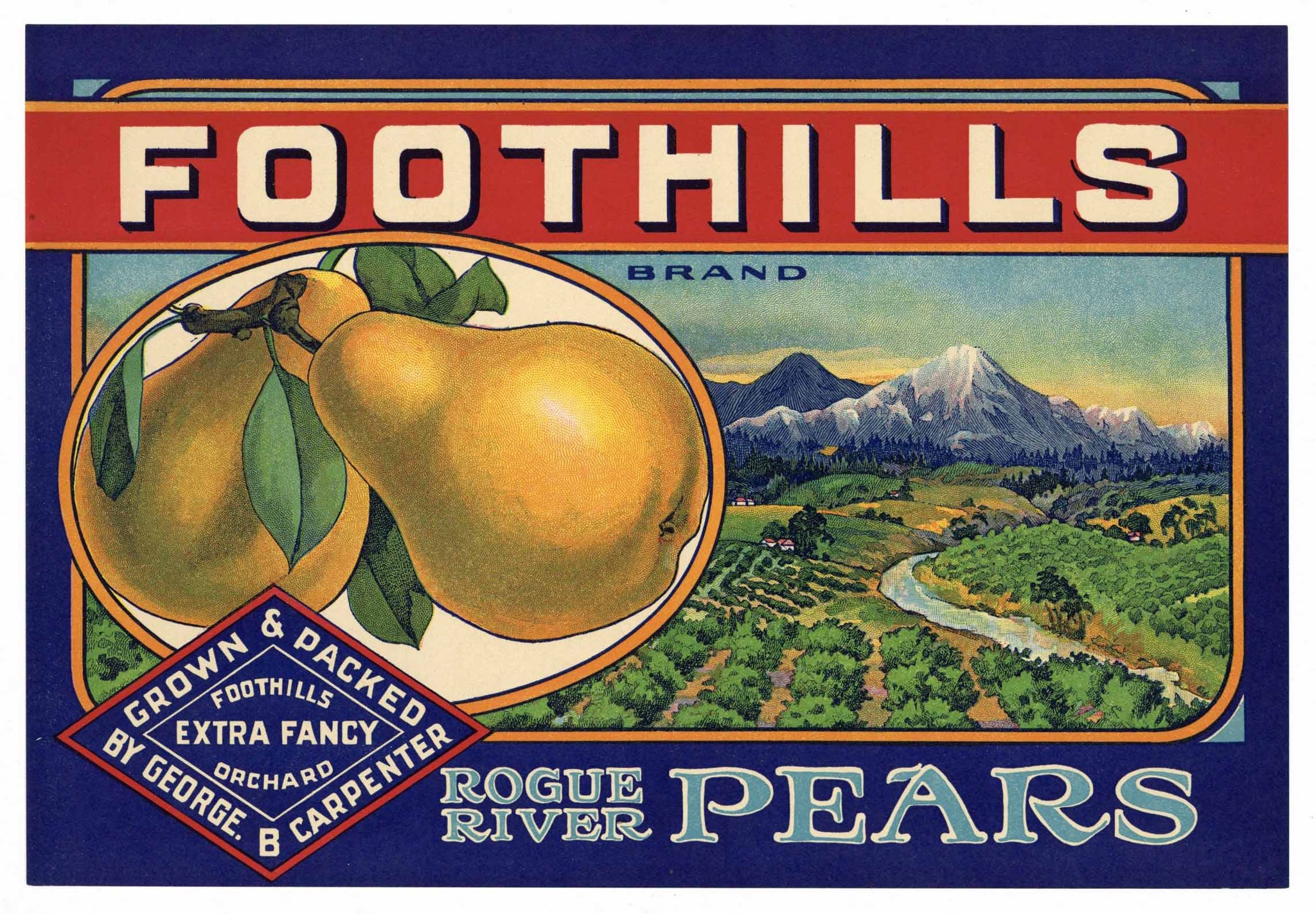 Foothills Brand Vintage Rogue River Oregon Pear Crate Label