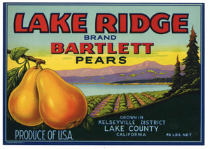 Lake Ridge Brand Vintage Lake County California Pear Crate Label