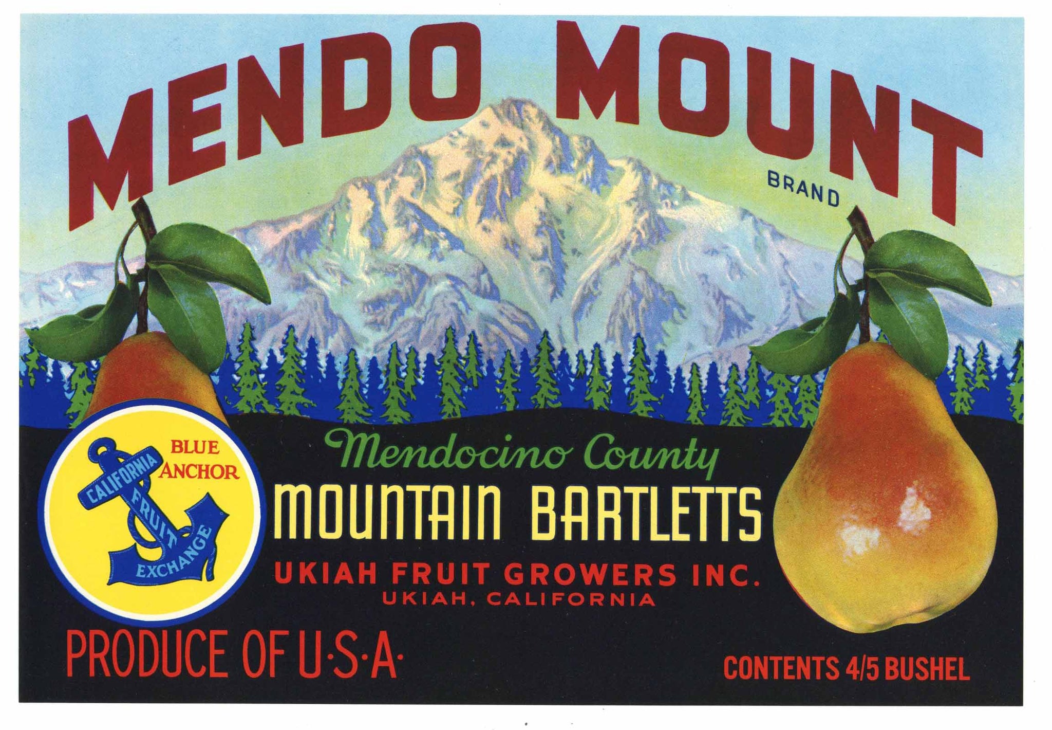 Mendo Mount Brand Vintage Ukiah California Pear Crate Label, blue anchor