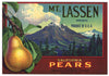 Mt. Lassen Brand Vintage Pear Fruit Crate Label L