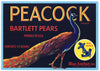 Peacock Brand Vintage Pear Crate Label z