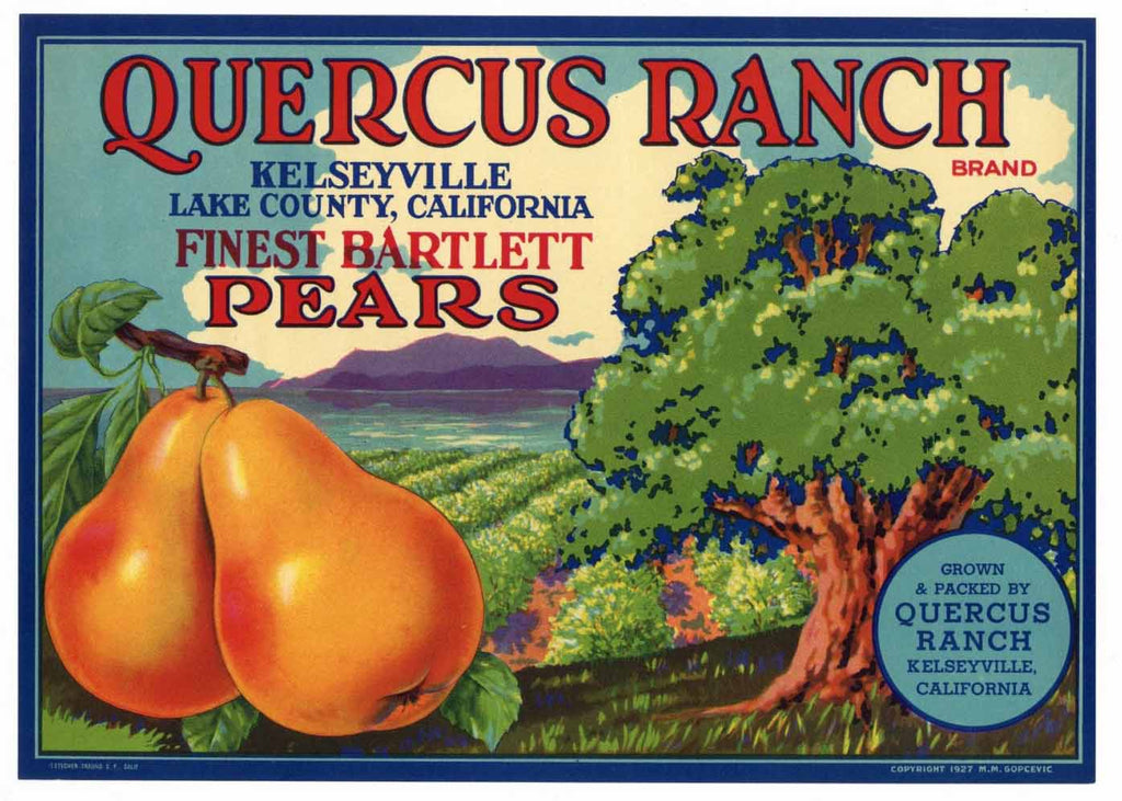 Quercus Ranch Brand Vintage Lake County California Pear Crate Label