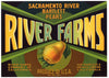 River Farms Brand Vintage Knights Landing Pear Crate Label