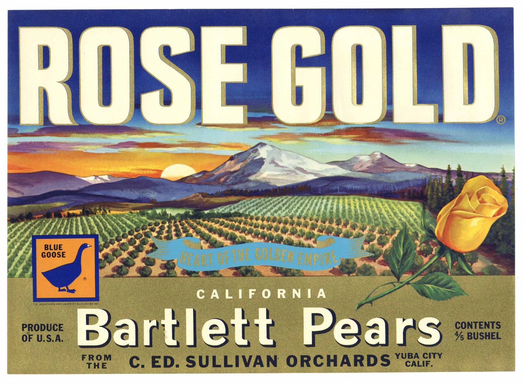 Rose Gold Brand Vintage Yuba City California Pear Crate Label, blue goose