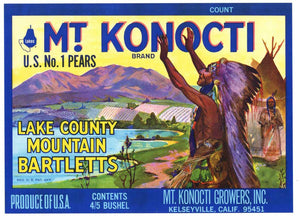 Mt. Konocti Brand Vintage Lake County California Pear Crate Label