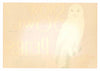 Snow Owl Brand Vintage Yakima Washington Pear Crate Label r