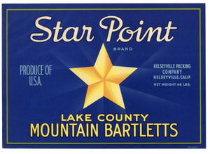 Star Point Brand Vintage Lake County California Pear Crate Label, older