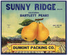 Sunny Ridge Brand Vintage Bartlett Pear Crate Label