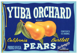 Yuba Orchard Brand Vintage Marysville Pear Crate Label, op