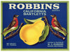 Robbins Brand Vintage Suisun California Pear Crate Label
