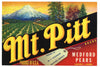 Mt. Pitt Brand Vintage Medford Oregon Pear Fruit Crate Label L