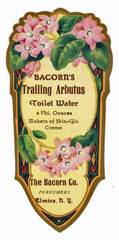Bacorn's Trailing Arbutus Brand Vintage New York Toilet Water Bottle Label