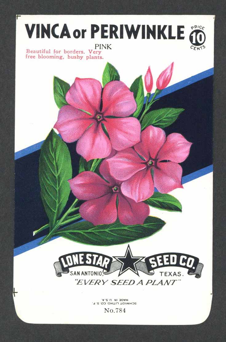 Vinca or Periwinkle Vintage Lone Star Seed Packet