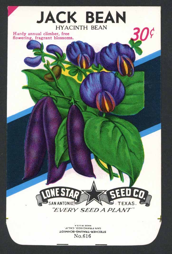 Jack Bean Vintage Lone Star Seed Packet, Hyacinth