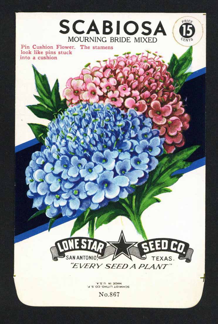 Scabiosa Vintage Lone Star Seed Packet