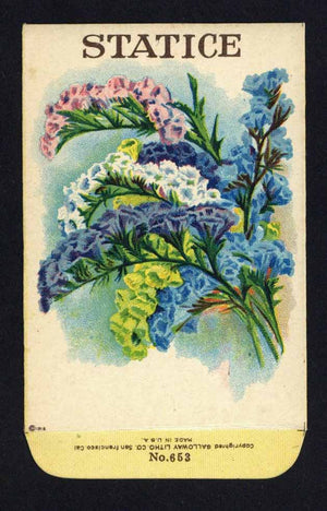 Statice Antique Stock Seed Packet