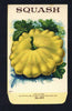 Squash Antique Stock Seed Packet