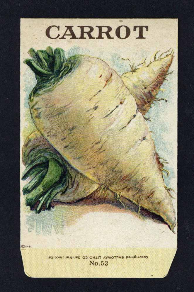 Carrot Antique Stock Seed Packet, White