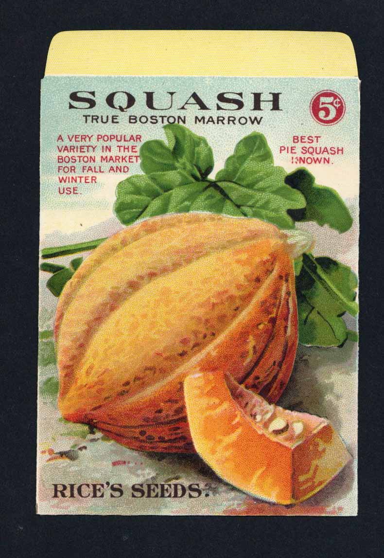 Squash Antique Rice's Seed Packet, True Boston Marrow