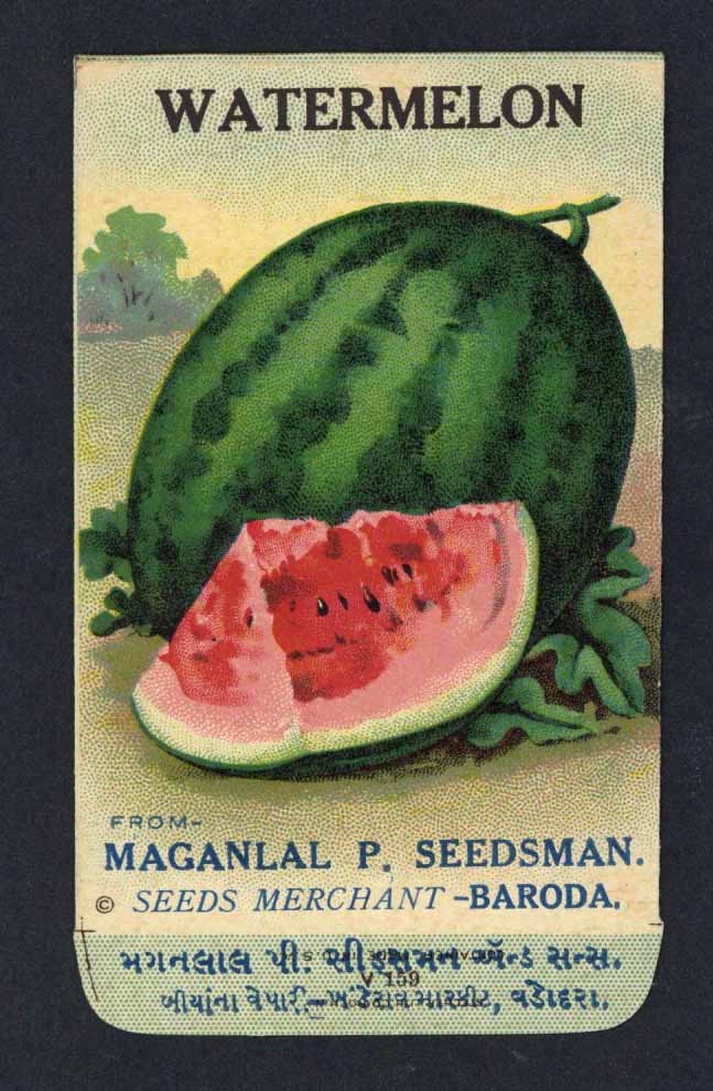 Watermelon Antique Maganlal Seed Packet, India