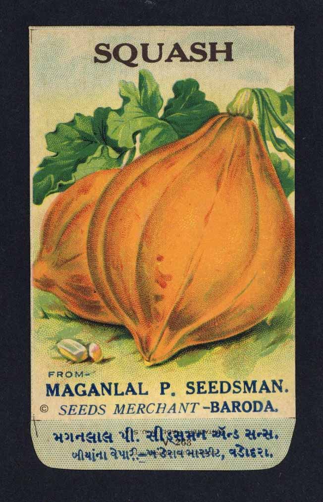 Squash Antique Maganlal Seed Packet, India, yellow