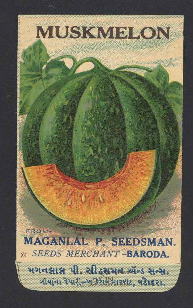 Muskmelon Antique Maganlal Seed Packet, India, slice