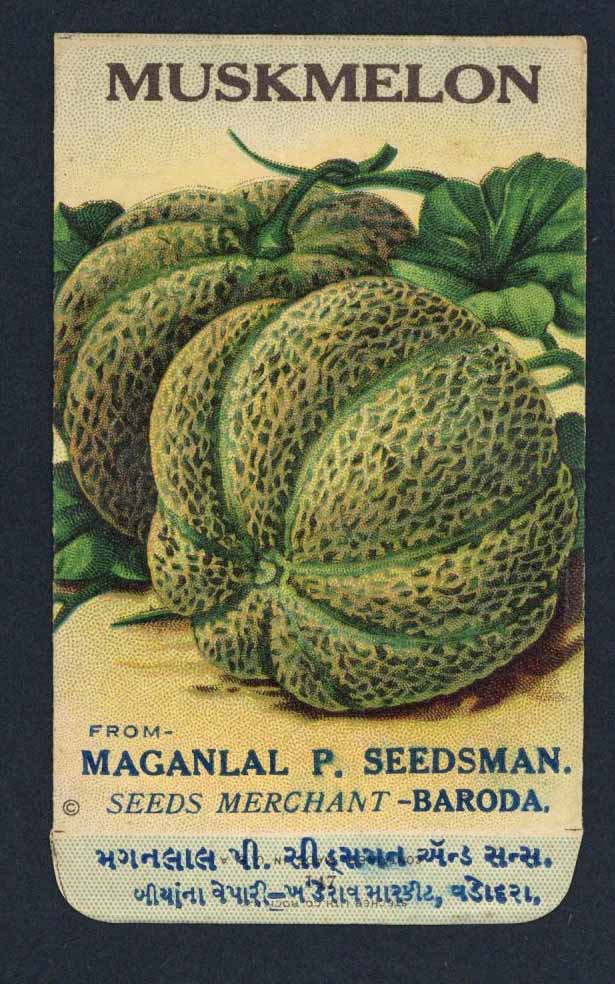 Muskmelon Antique Maganlal Seed Packet, India, two