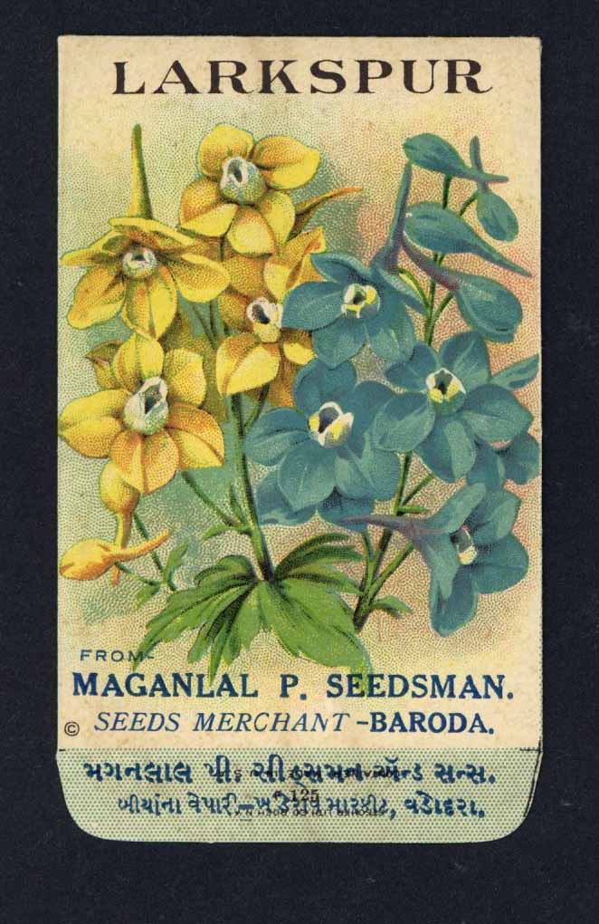 Larkspur Antique Maganlal Seed Packet, India