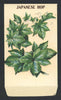 Japanese Hop Antique Stock Seed Packet