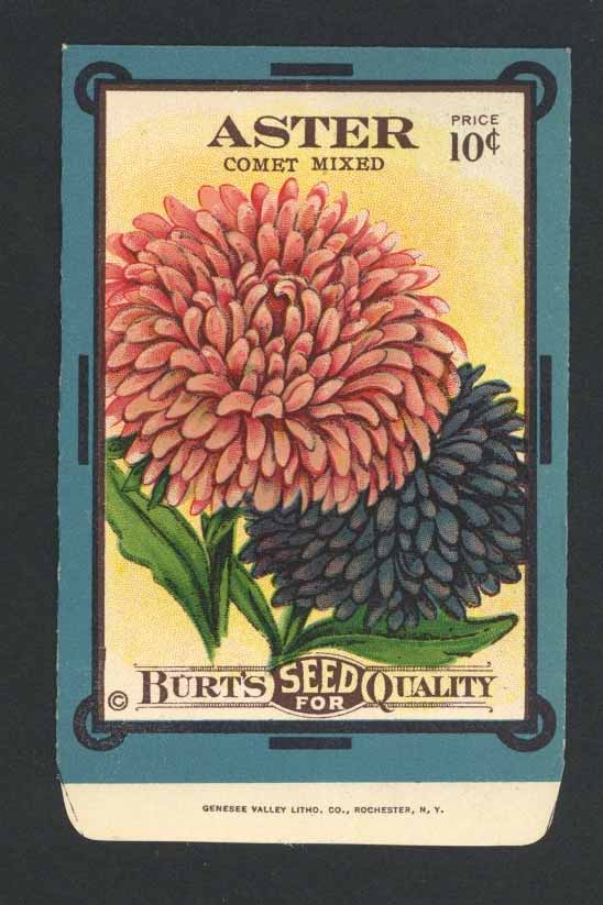 Aster Antique Burt's Seed Packet, Comet Mixed