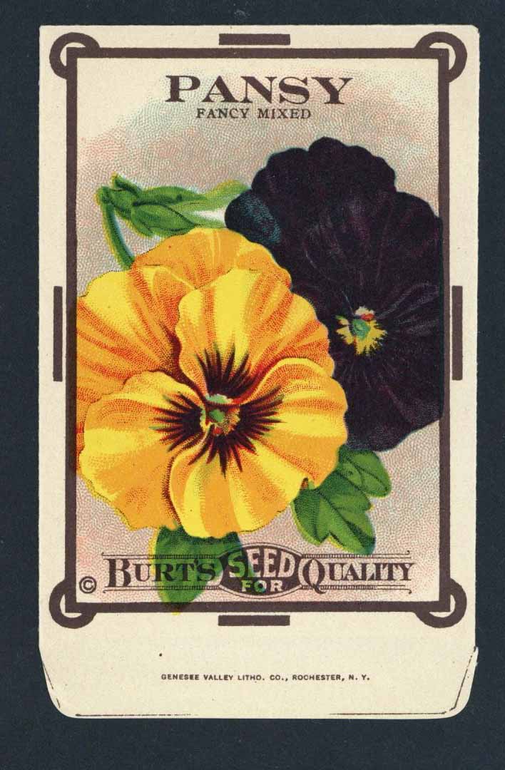 Pansy Antique Burt's Seed Packet